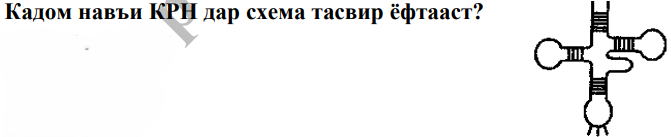 Расми савол