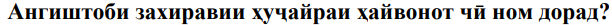 Расми савол